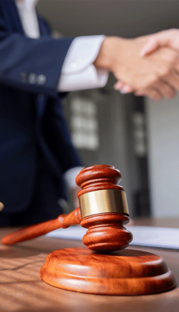 Professional family law support