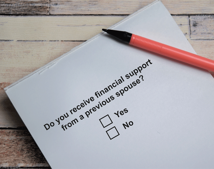 Spousal support lawyer