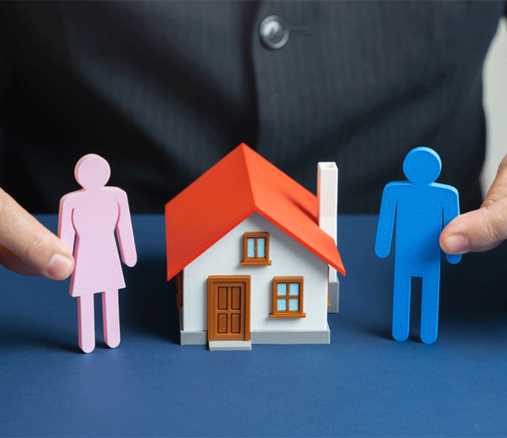 Family law consultations